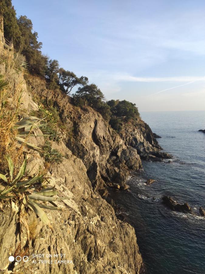Via Verdi 5, Gli Affreschi Monterosso al Mare Exterior photo